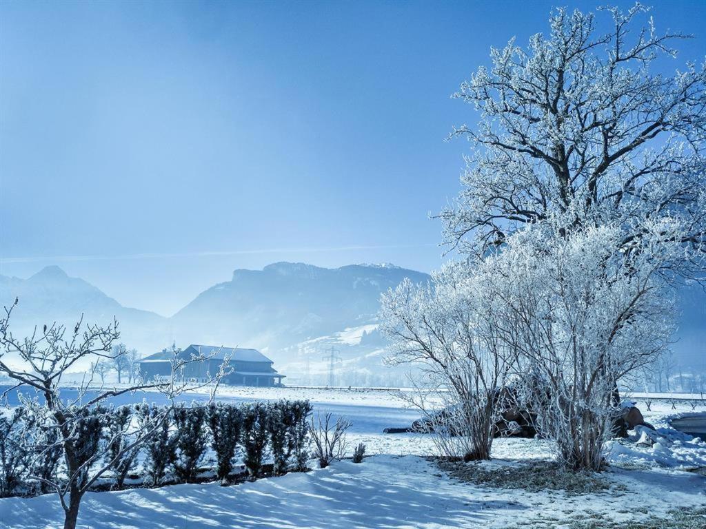 Gaestehaus Hauser Гайнценберг Екстер'єр фото